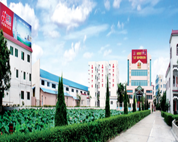 Foshan Shengfa Electric Appliance Co., Ltd.